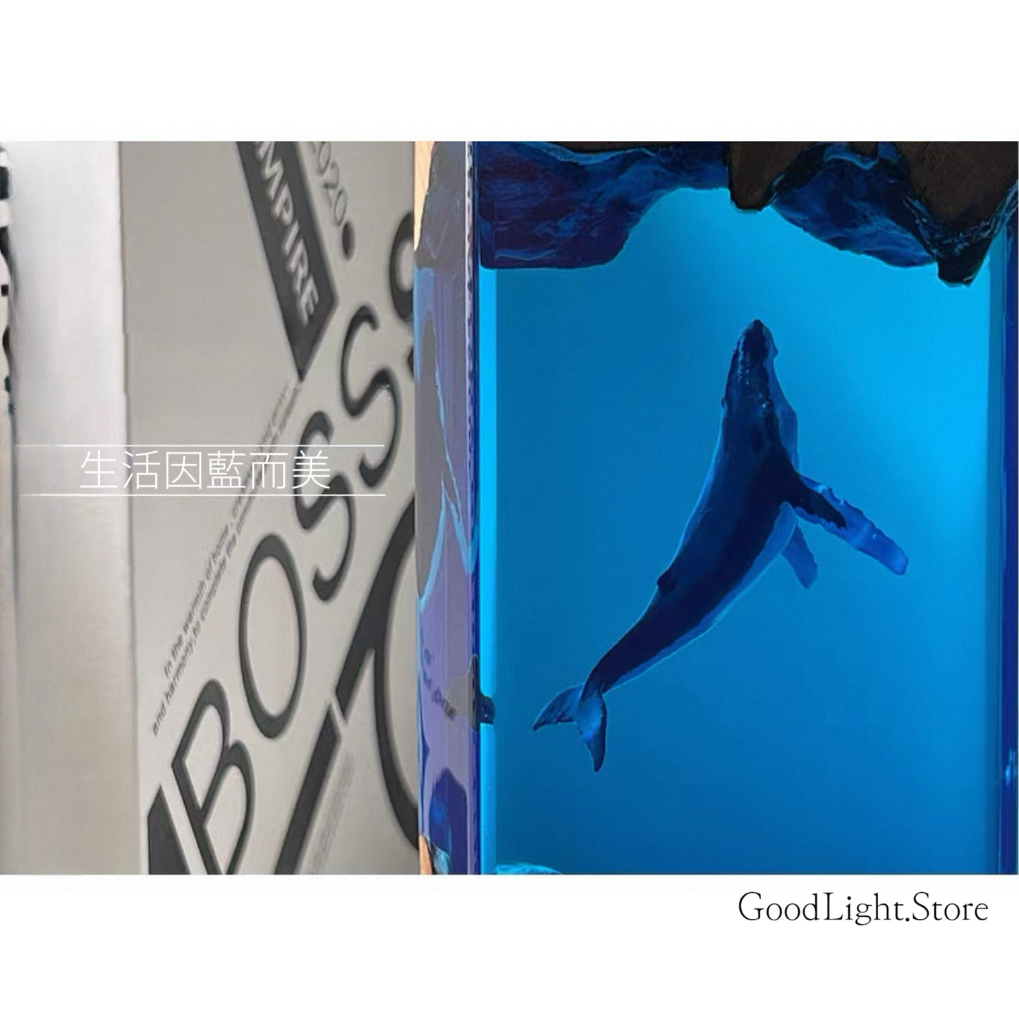 海洋孤勇座頭鯨小夜燈T07